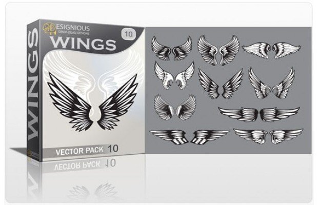 wings-10
