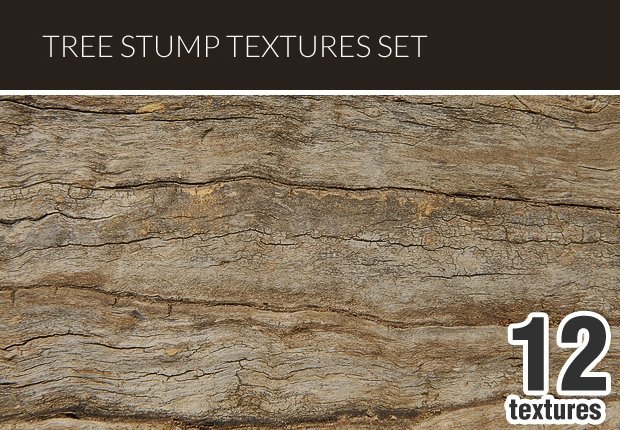 designtnt-textures-tree-stump-small