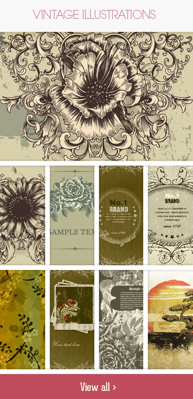 50 Vintage Vector Illustrations  - graphic design bundles