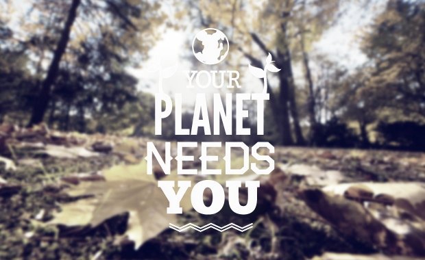 organic-eco- typography elements-preview