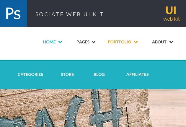 designtnt-web-sociate-small