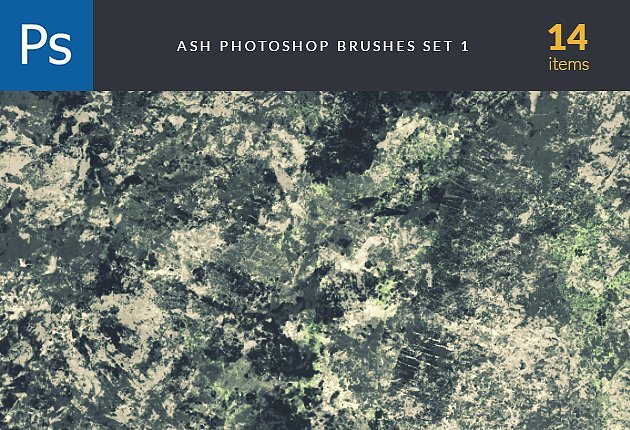 designtnt-brushes-ash-1-small
