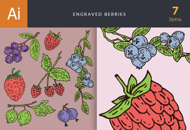 designtnt-vector-engraved-berries-small