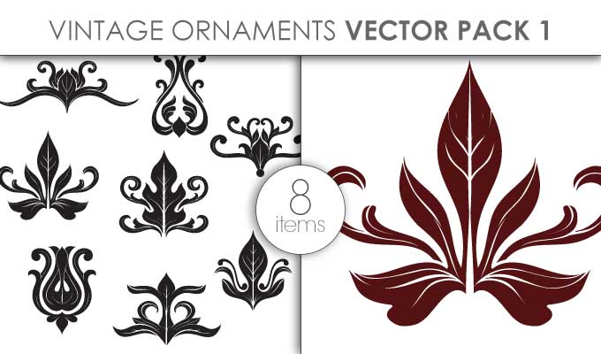 designious-vector-vintage-ornaments-pack-1-small-preview