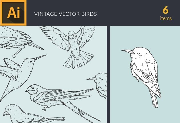 Designtnt-Birds-Vintage-Vector-Set1-small
