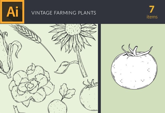 Designtnt-Farming-plant-Vintage-Vector-Set1-small