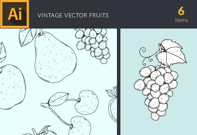 Designtnt-Fruits-Vintage-Vector-Set-1-small