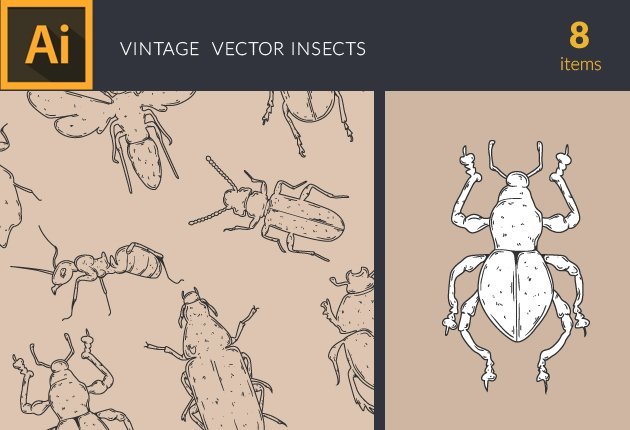 Designtnt-Insects-Vintage--Vector-Set-1-small