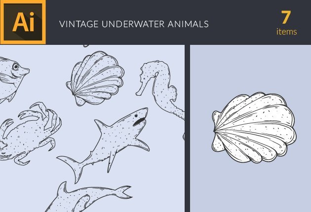 Designtnt-Marine-Life,-Underwater-Vintage-Vector-Set-2-small