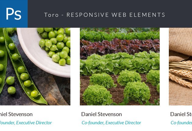 designtnt-web-modi-small