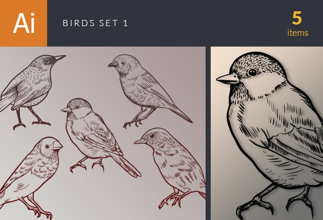 non-floral-elements-birds-1-small