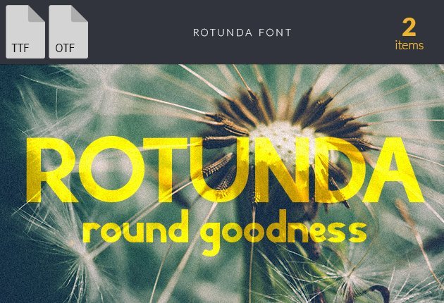 Rotunda-preview-small