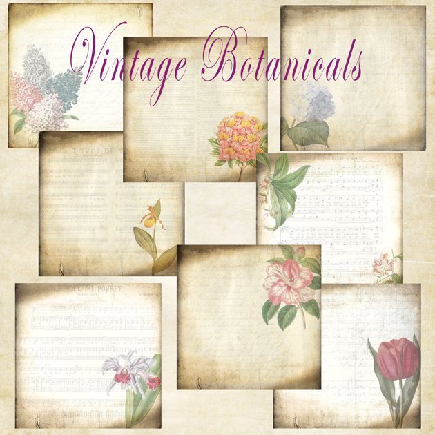 Vintage Botanicals Main Preview