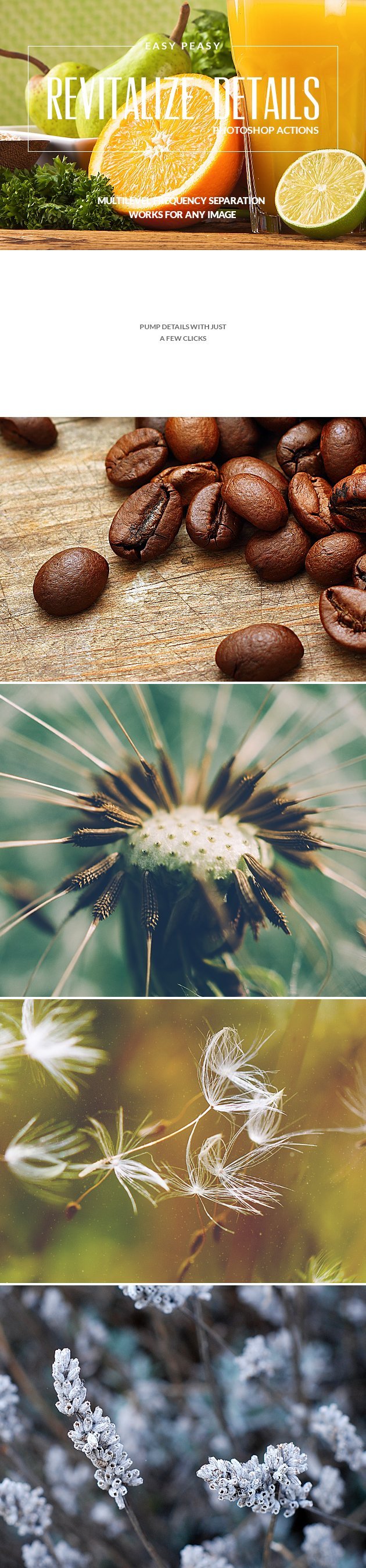 photoshop-actions-for-photographers Preview of the best PS Actions for photographers to revitalize details