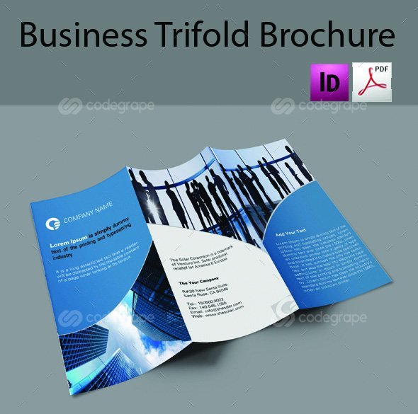 codegrape-6282-business-tri-fold-brochure-small