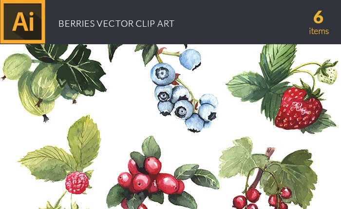 vector-watercolor-berries-small