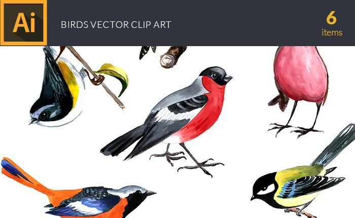 vector-watercolor-birds-small