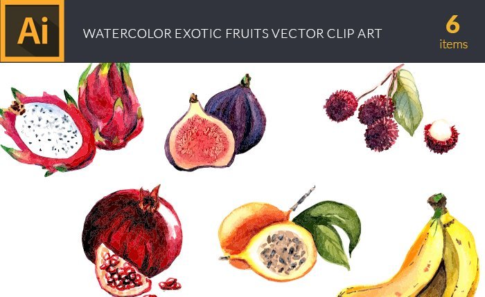 design-tnt-vector-watercolor-exotic-fruits-small