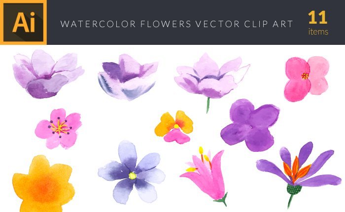 Illustrated flat vector Set