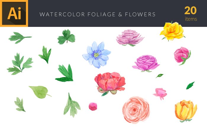 watercolor flowers