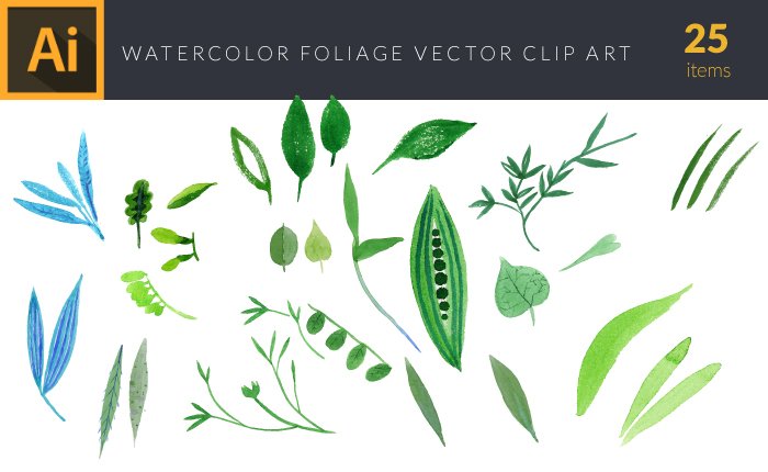 Illustrated flat vector Set