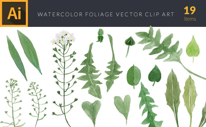 watercolro illustrations vector Set
