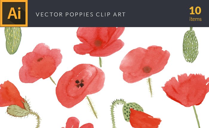 vector-watercolor-illustrations poppies-small