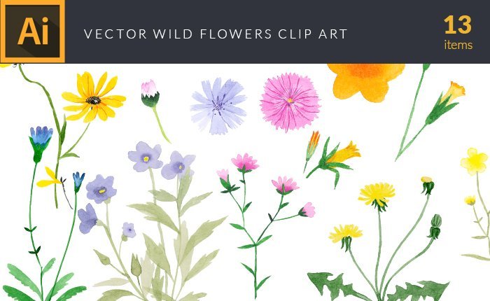 vector-watercolor-wild-flowers-small