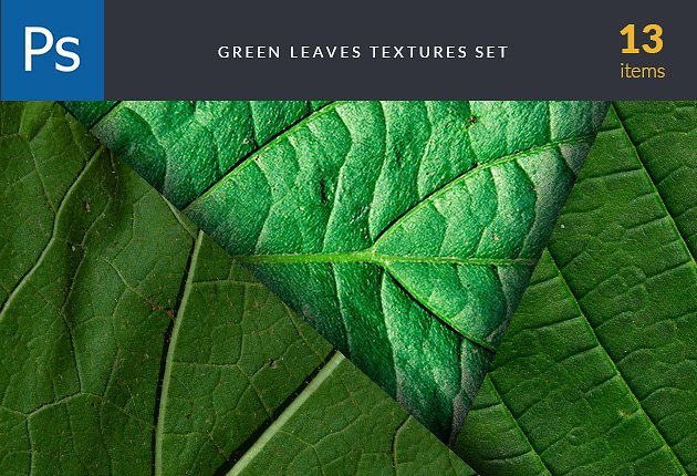 green-leaves-textures set-preview