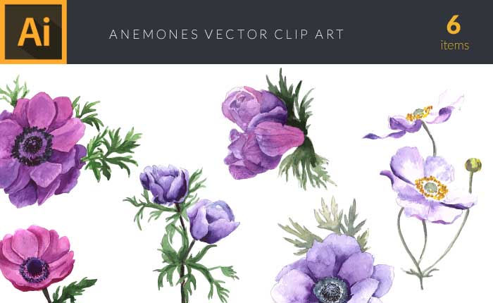 design-tnt-anemones-set-1-small-preview