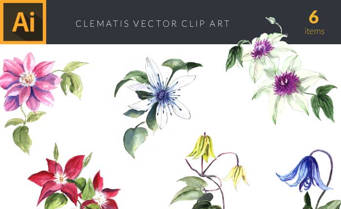 design-tnt-clematis-set-1-small-preview