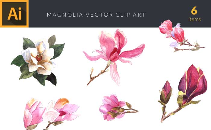 design-tnt-magnolia-set-1-small-preview