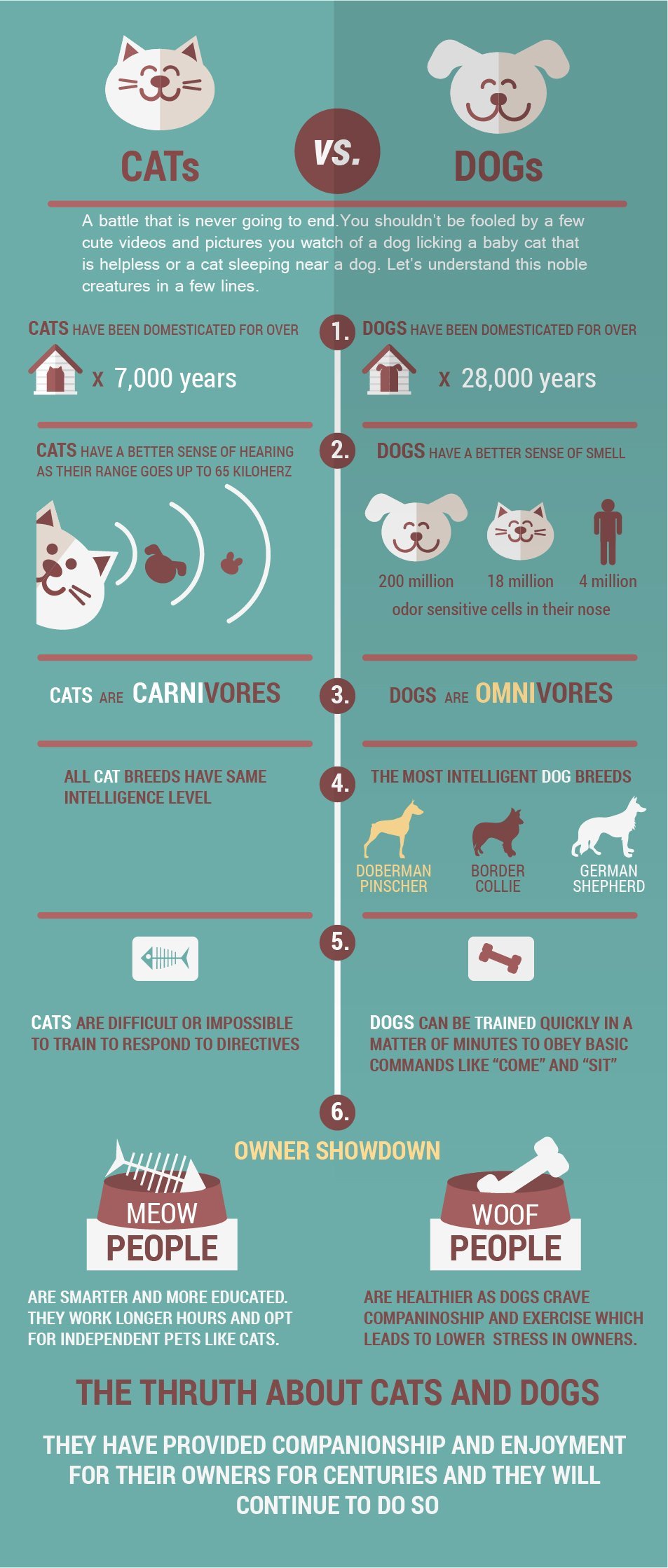 infographic cats vs dogs
