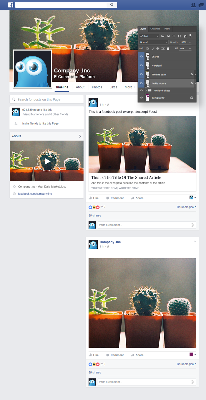 facebook-preview