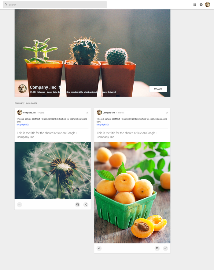 social-media-kit-google-plus social-media-kit-google-plus