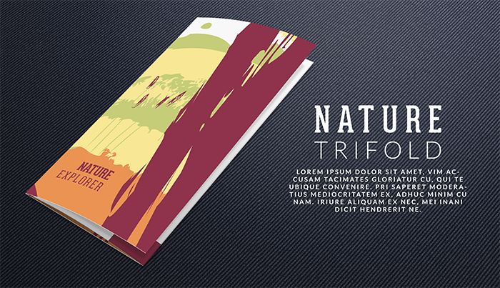 trifold-folded-forest trifold-folded-forest