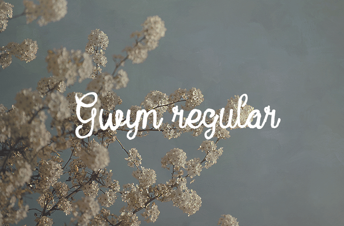 Gwyn Regular Font