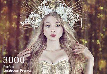 3000 Perfect Lightroom Presets Bundle - Only $45