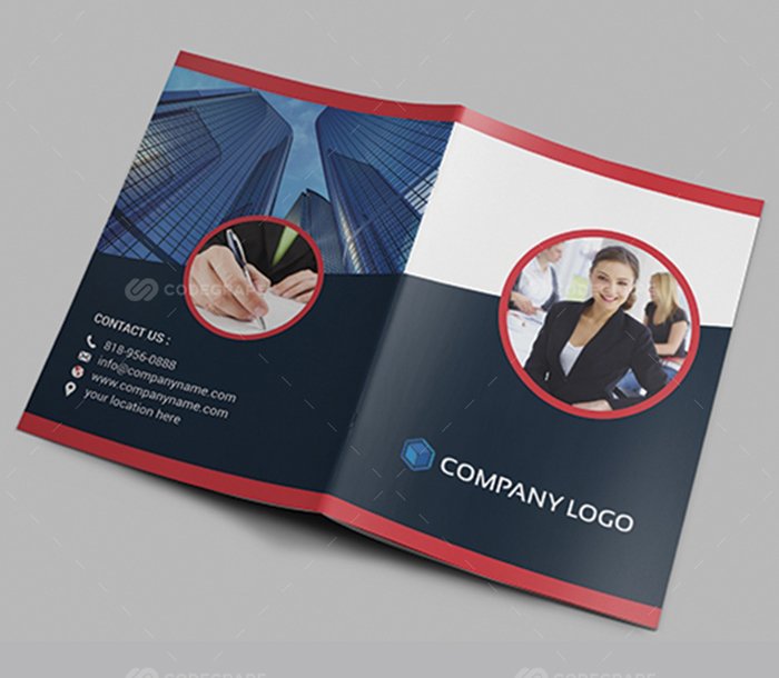 beautiful brochures