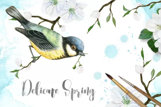 creative graphics bundle