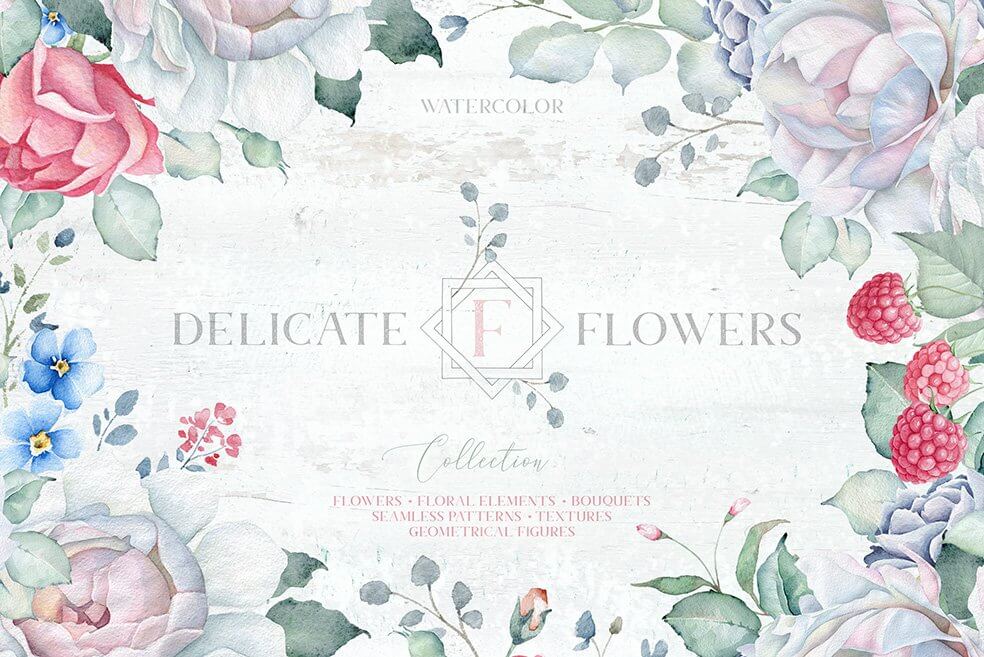 delicate-flower-illustrations delicate-flower-illustrations