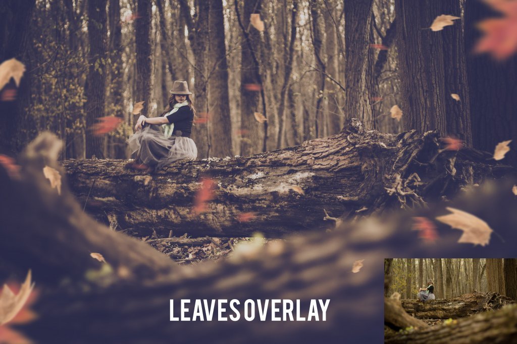 Leaves Overlay