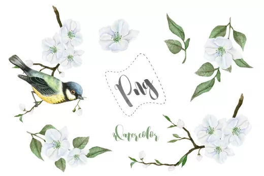 creative graphics bundle