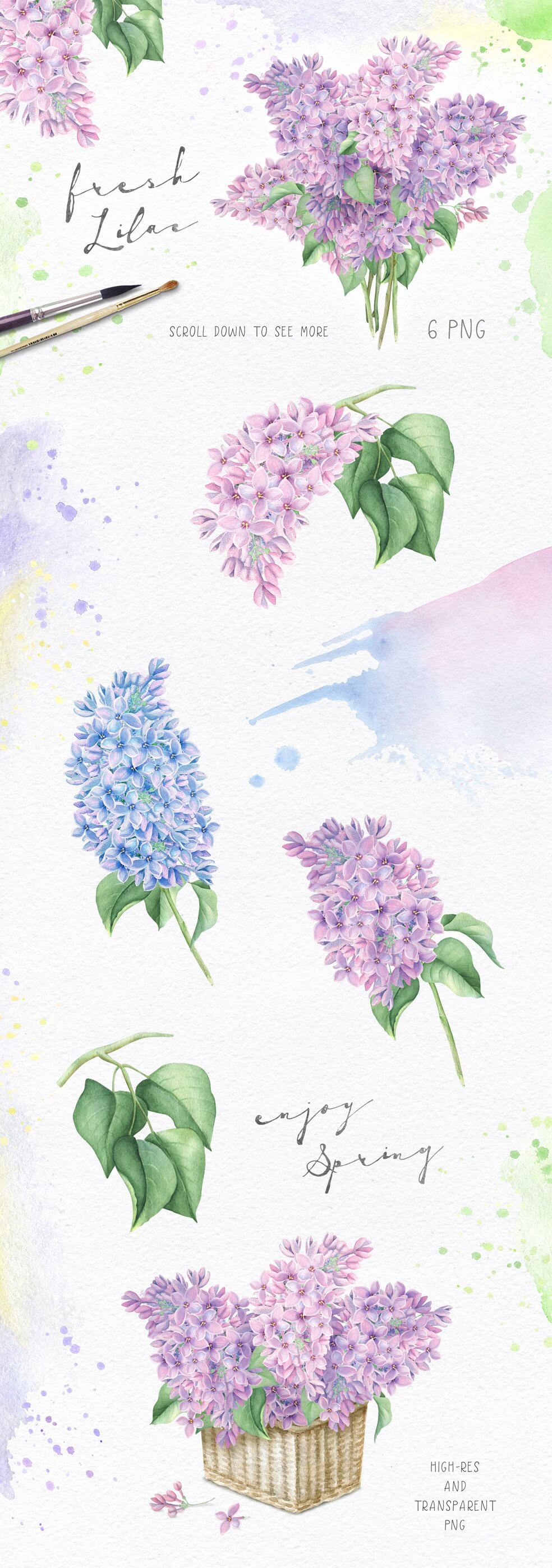 fresh-lilac-art fresh-lilac-art