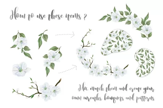 creative graphics bundle