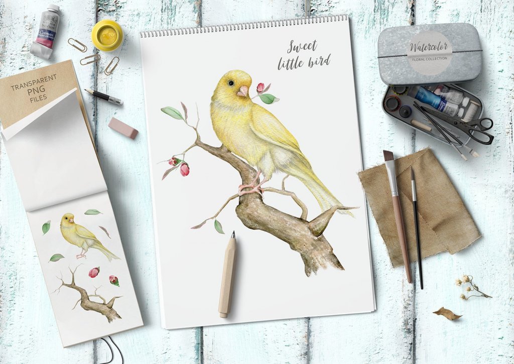 bird graphic on a paper