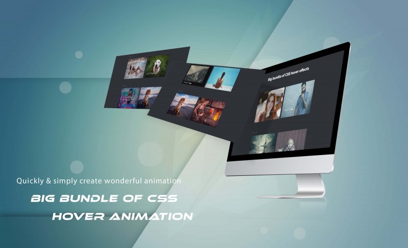 css hover animation