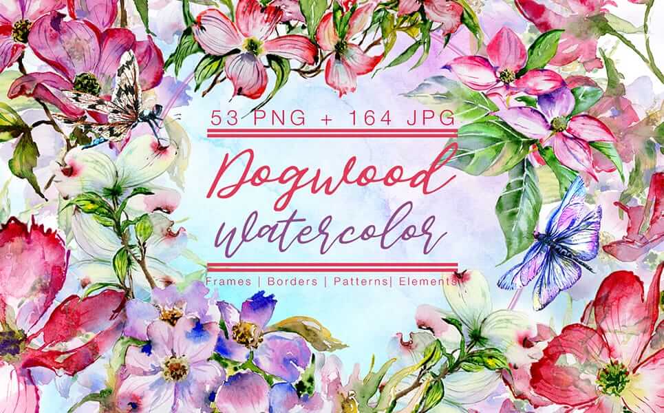 dogwood watercolor frames, borders, patterns and elements preview
