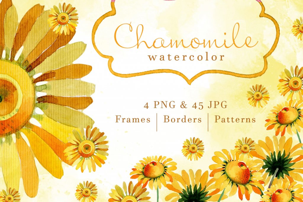 chamomile watercolor floral elements  frames, borders and patterns