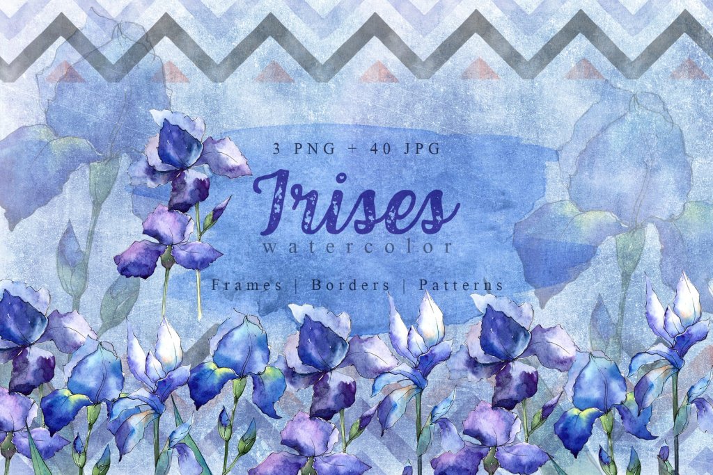 Irises watercolor floral collection preview